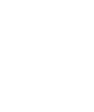 Wild Route Trips logo
