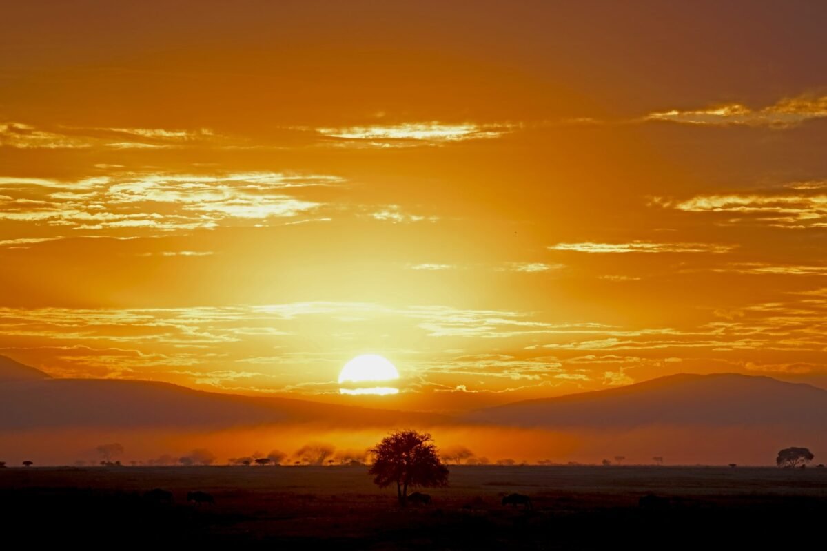 Sun rising over the Serengeti plains, Tanzania
