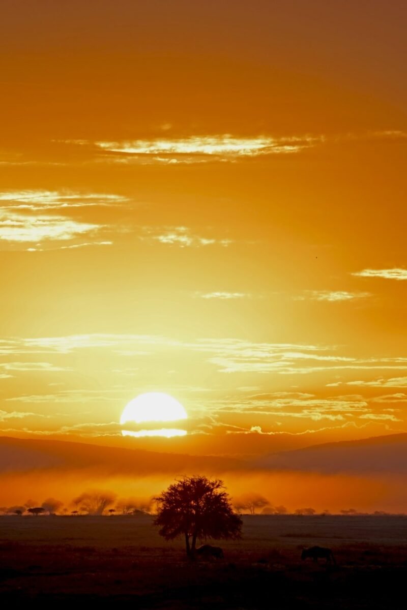 Sun rising through rain clouds over the Serengeti plains, Tanzania