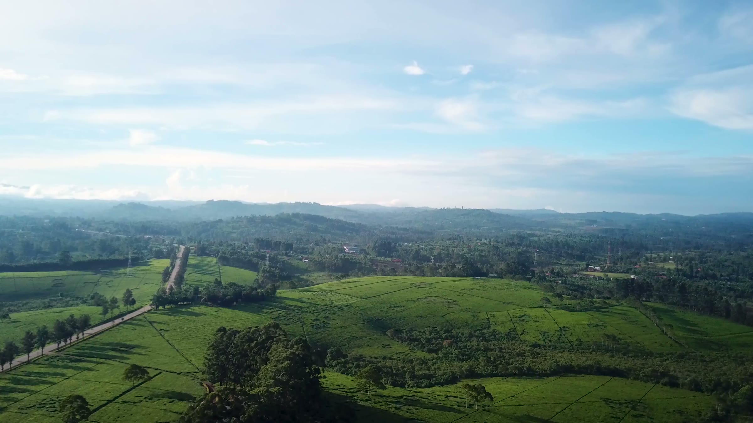 Tea plantations rolling to the horizon in the crater lake country south of Fort Portal