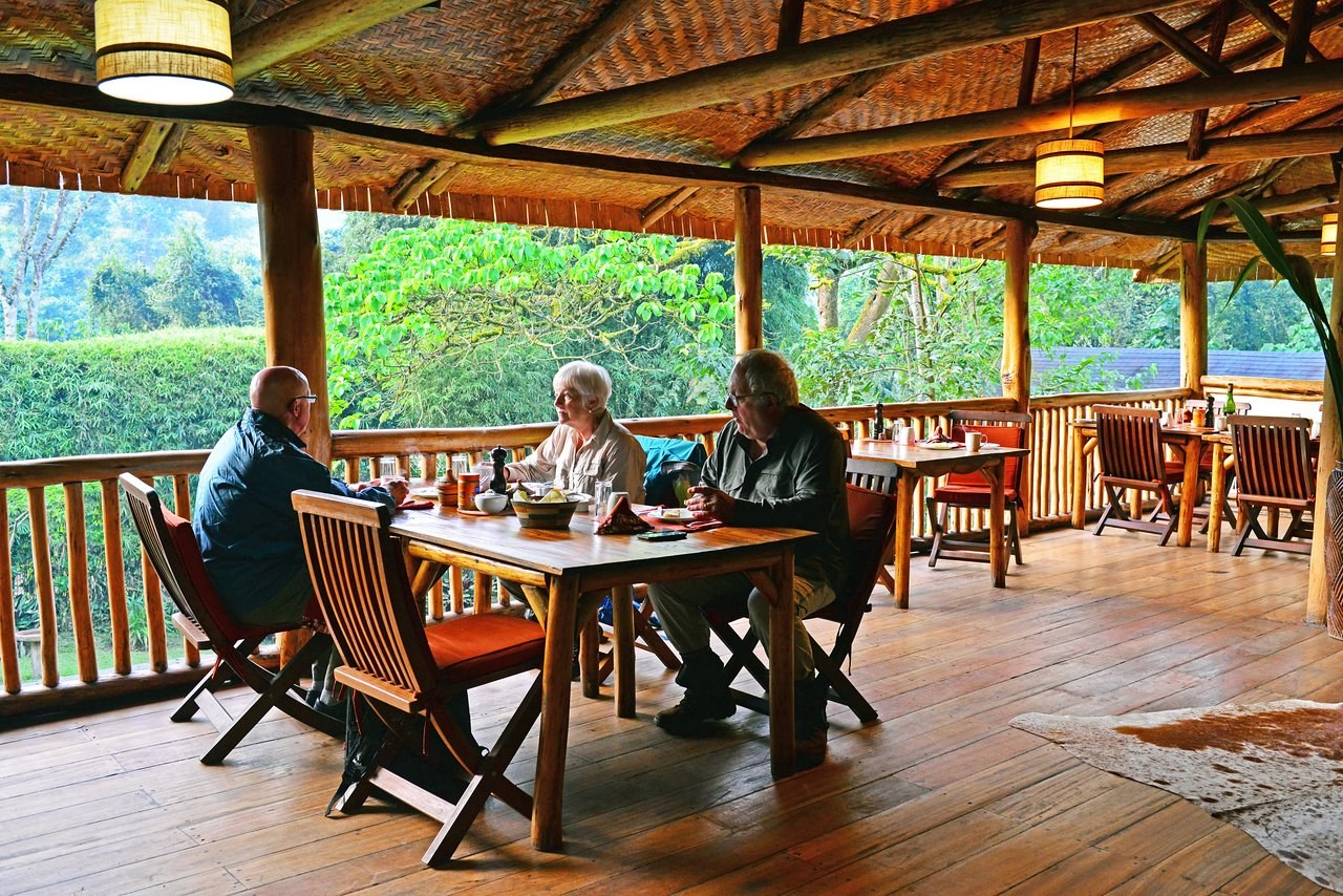 Guests at a table on a lodge veranda above the forest