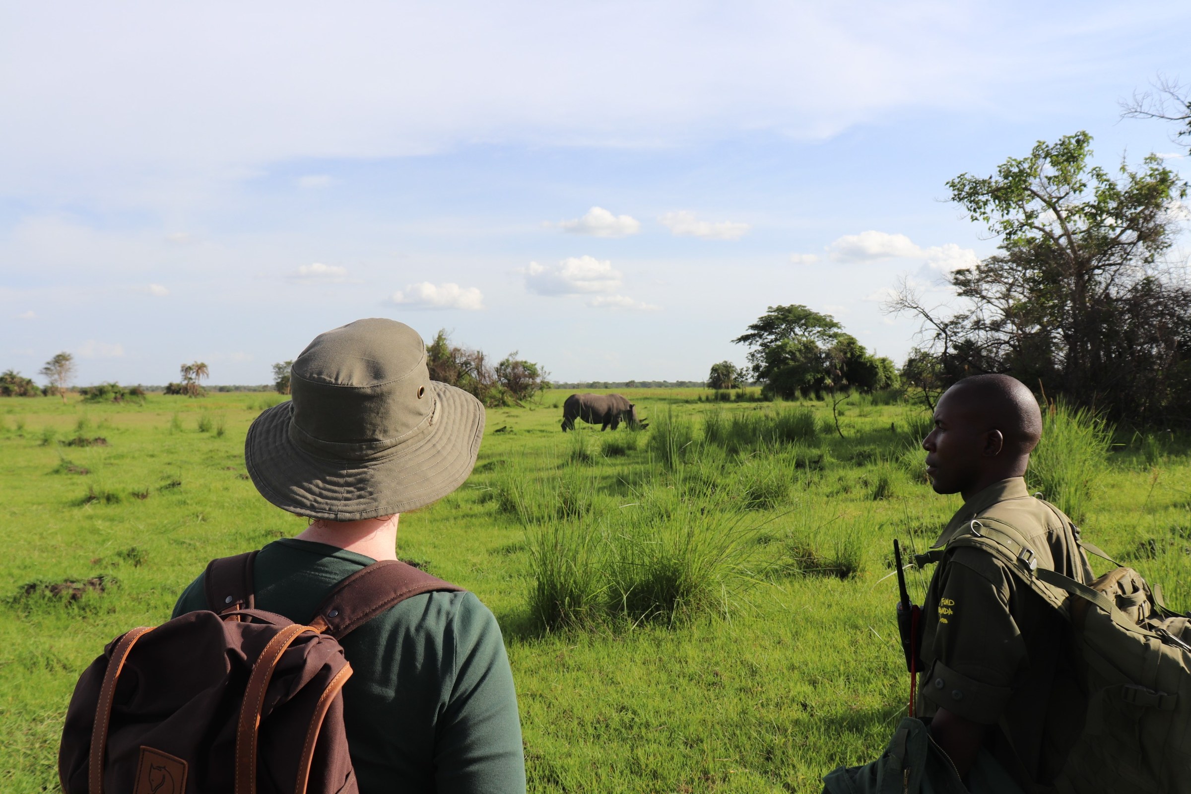 A guest and an armed ranger watching white rhino on foot at Ziwa Rhino Sanctuary, Uganda