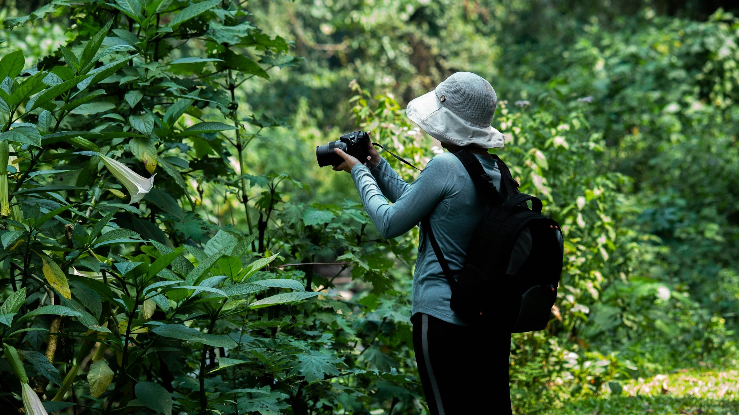 A traveller photographing in the forest, Bwindi Impenetrable Forest, Uganda