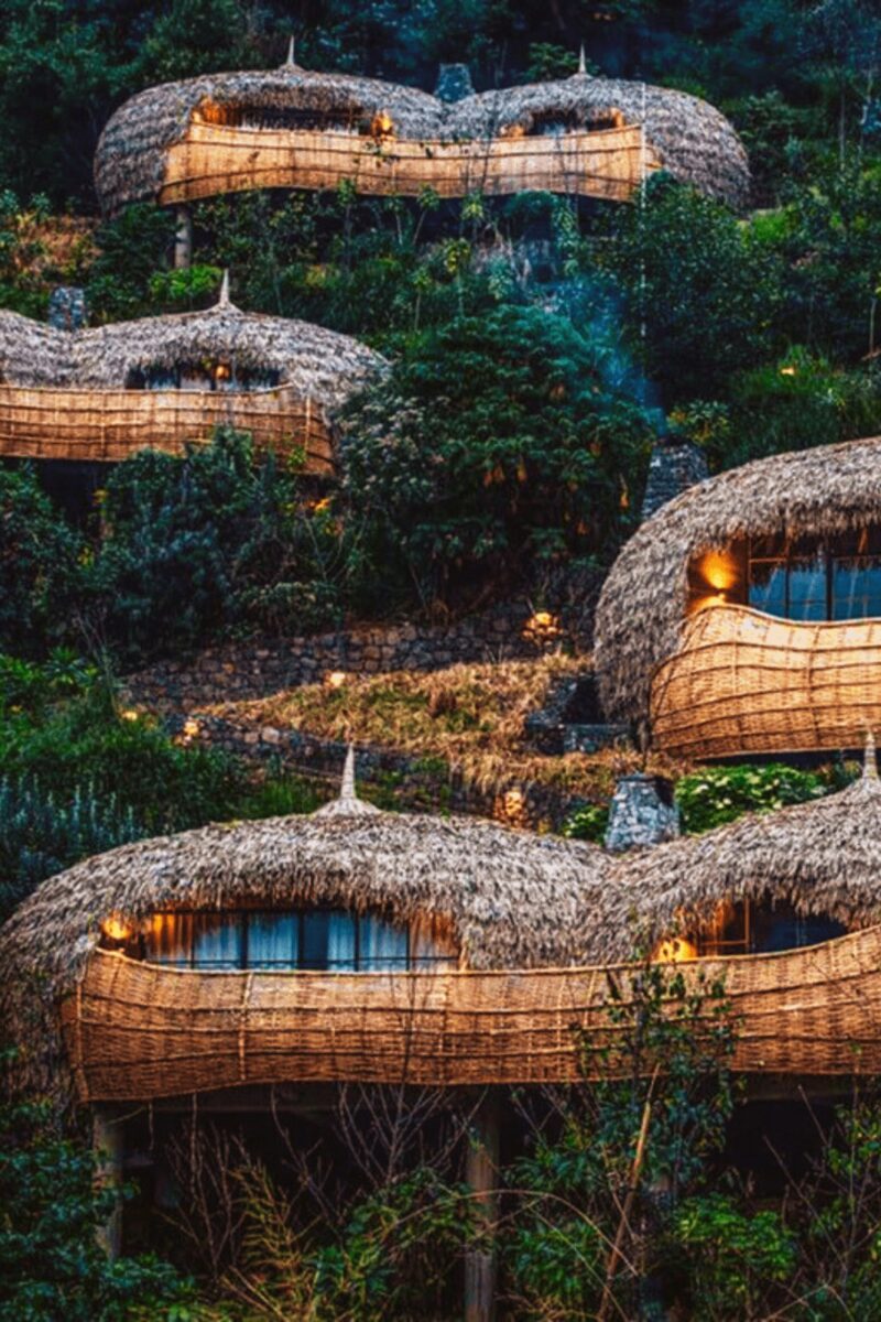 Thatched, dome-shaped rooms set into a forested hillside, Rwanda