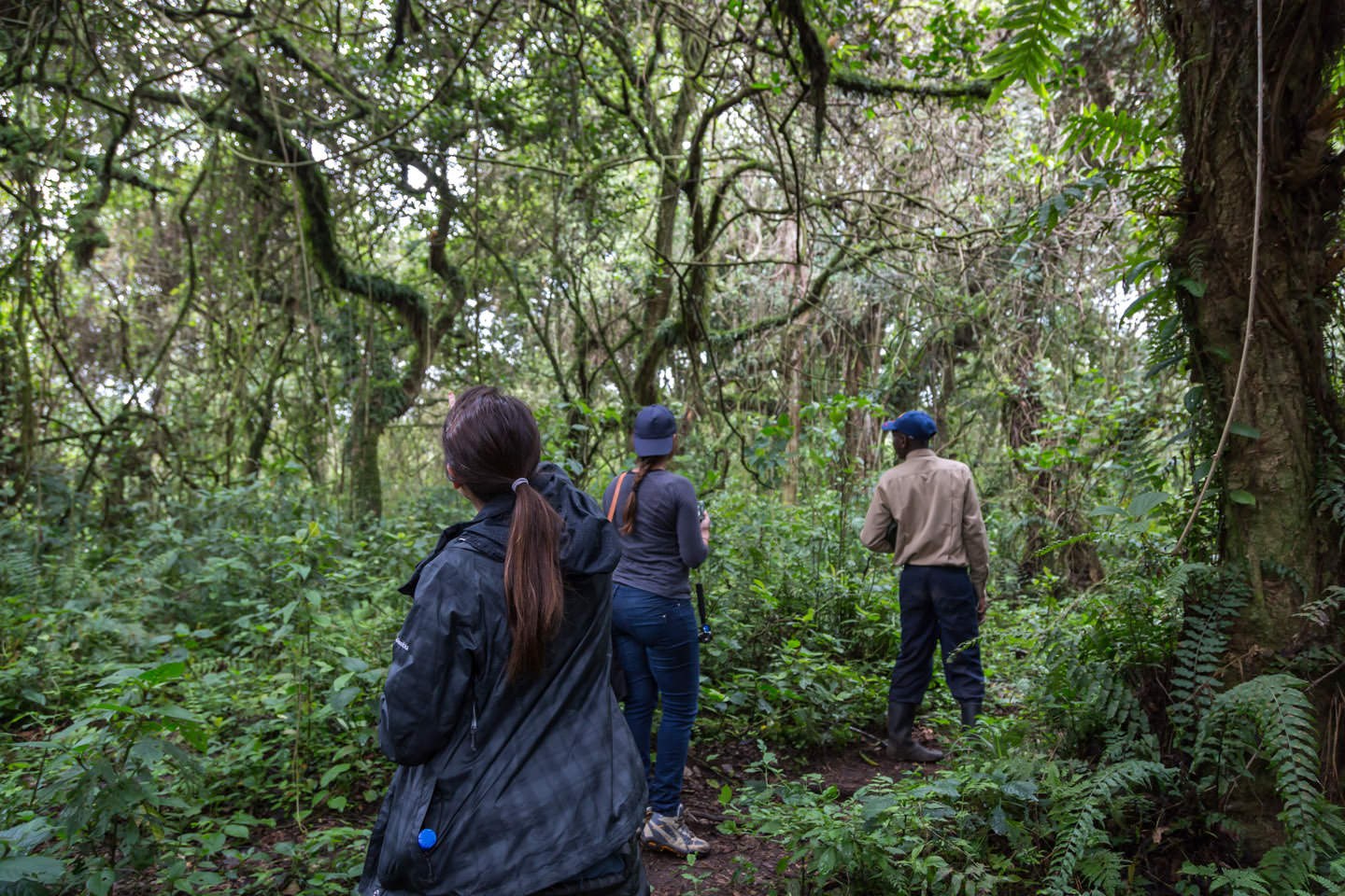 Two visitors following a ranger along a forest trail