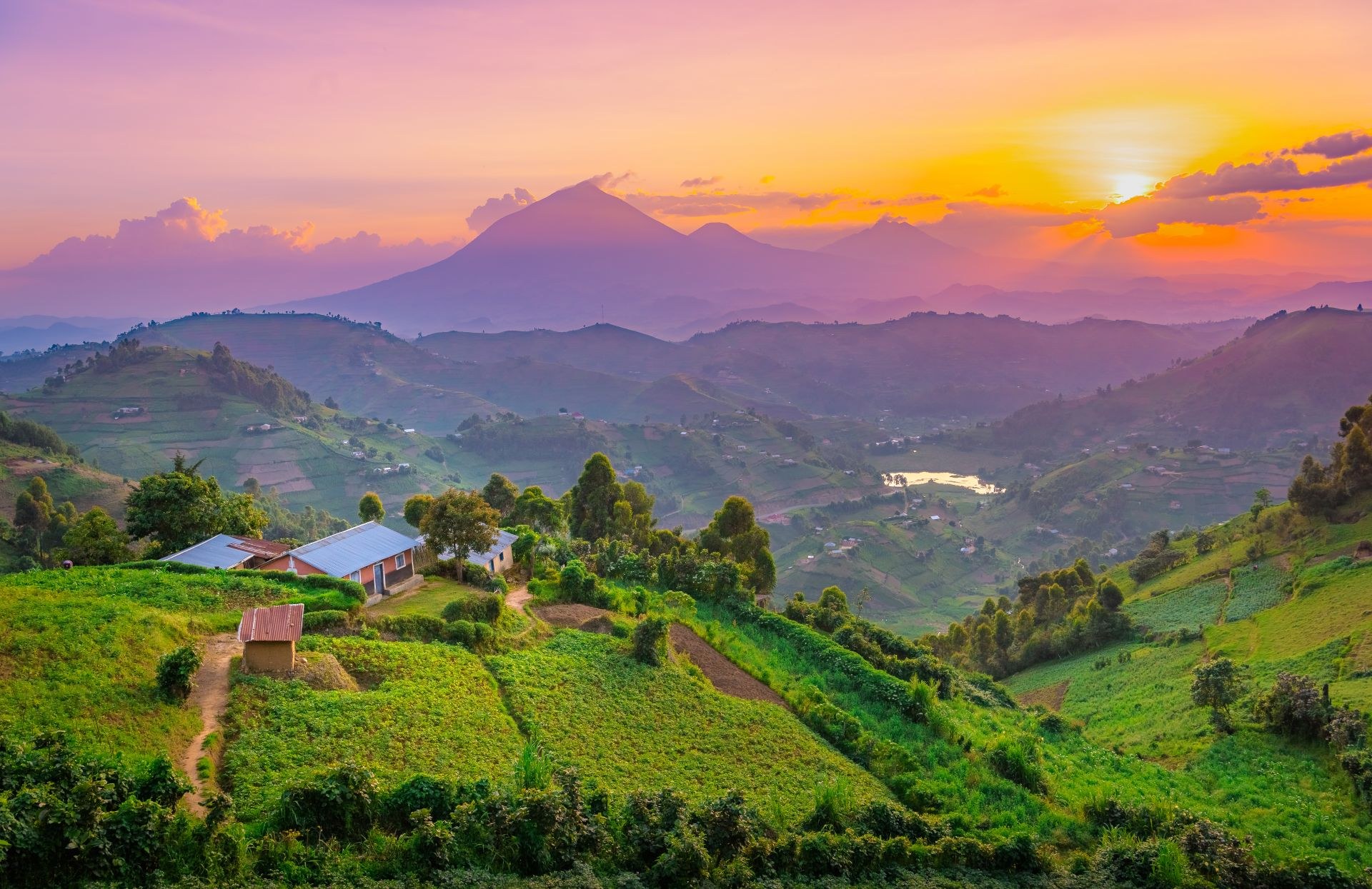 The Virunga volcanoes at sunset above the terraced hills around Kisoro
