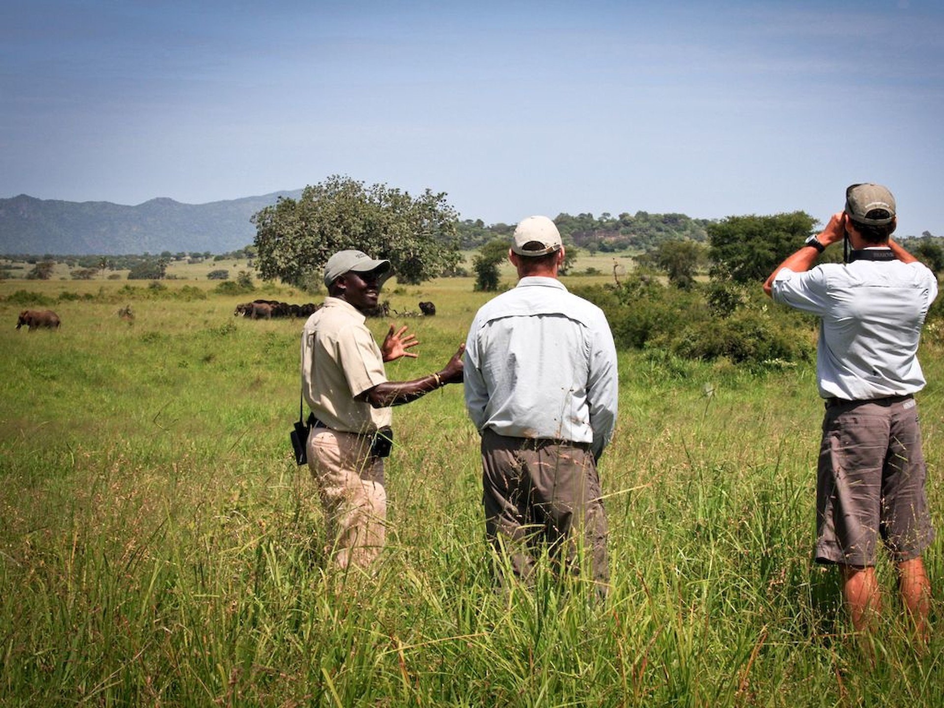 Three people walking through long grass with binoculars on a guided walk