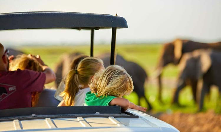 Children watching an elephant herd from an open safari vehicle