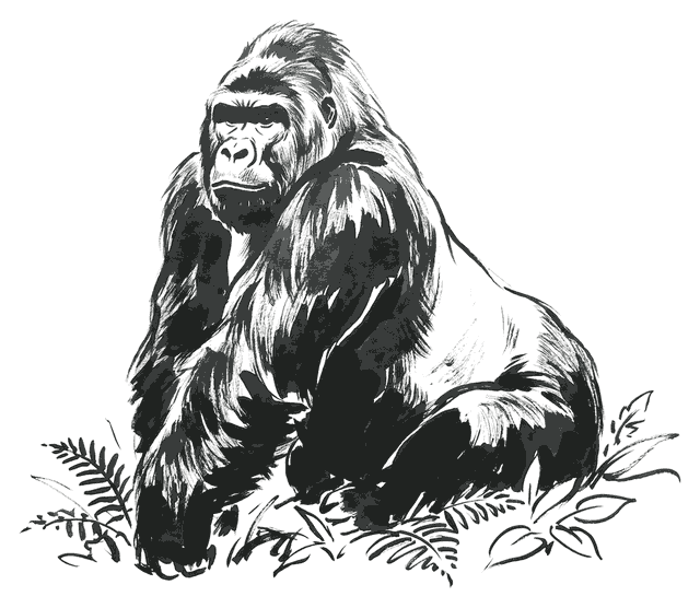 Ink drawing of a silverback mountain gorilla sitting among ferns